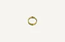 1004552.webp