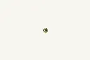 1080960_2.webp