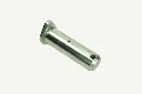 1080940_2 (FILEminimizer)-compressed.webp