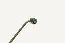 1080074_2 (FILEminimizer)-compressed.webp