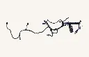 1183350_2.webp