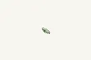 1060382_2.webp