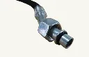 1054695_2.webp