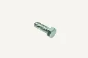 1009895_2.webp