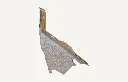 1006432_3.webp