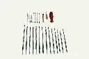 1181256_2 (FILEminimizer)-compressed.webp