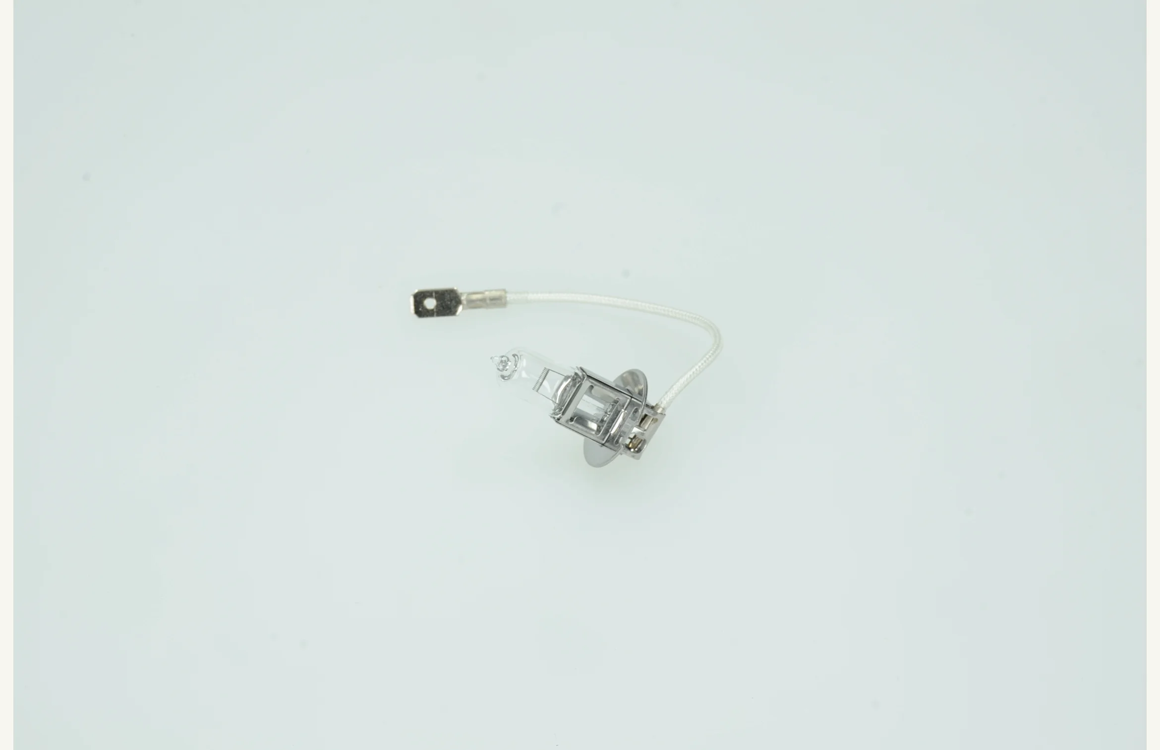[1001198] Glühlampe Halogen 12V 55W
