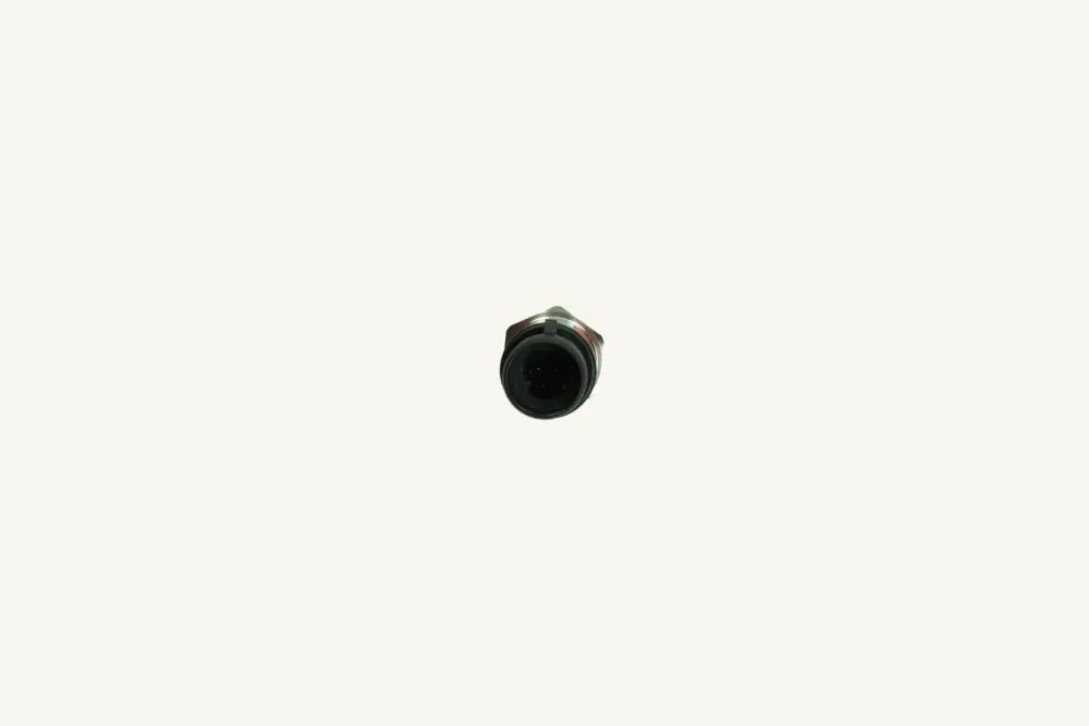 [1074220] Druckschalter G1/8-25G