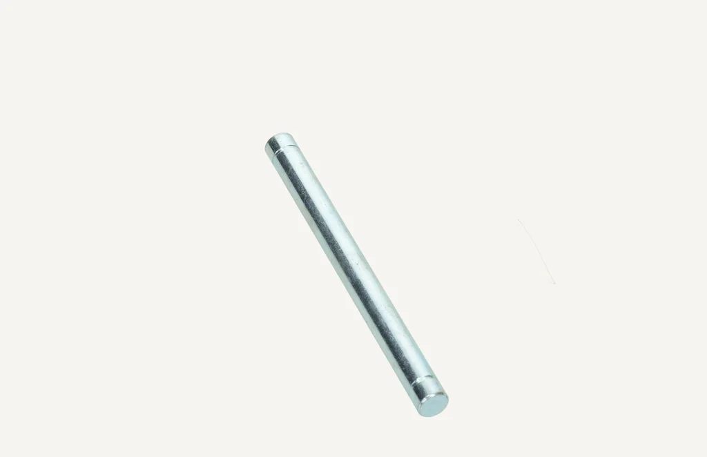 [1008602] Pin Door Hinge