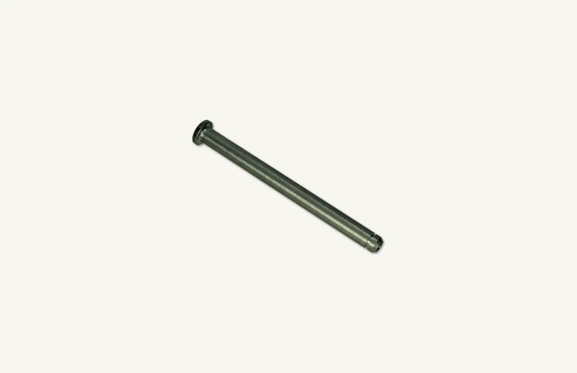 [1078704] Hinge Pin