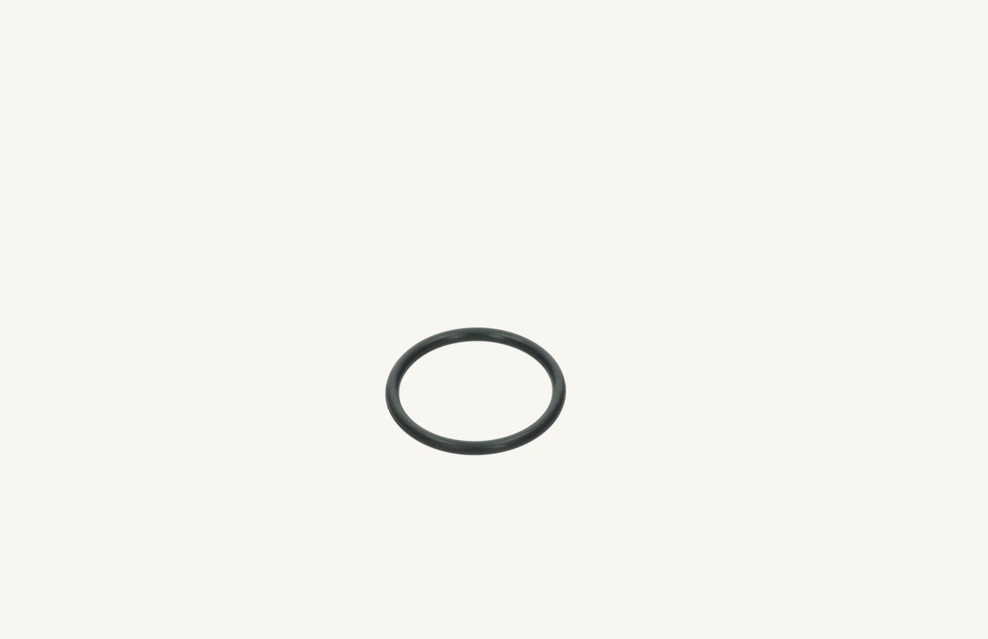 [1009510] Joint torique 2.62x28.24mm