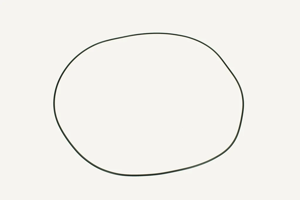 [1003970] O-Ring 2.62x301.50mm