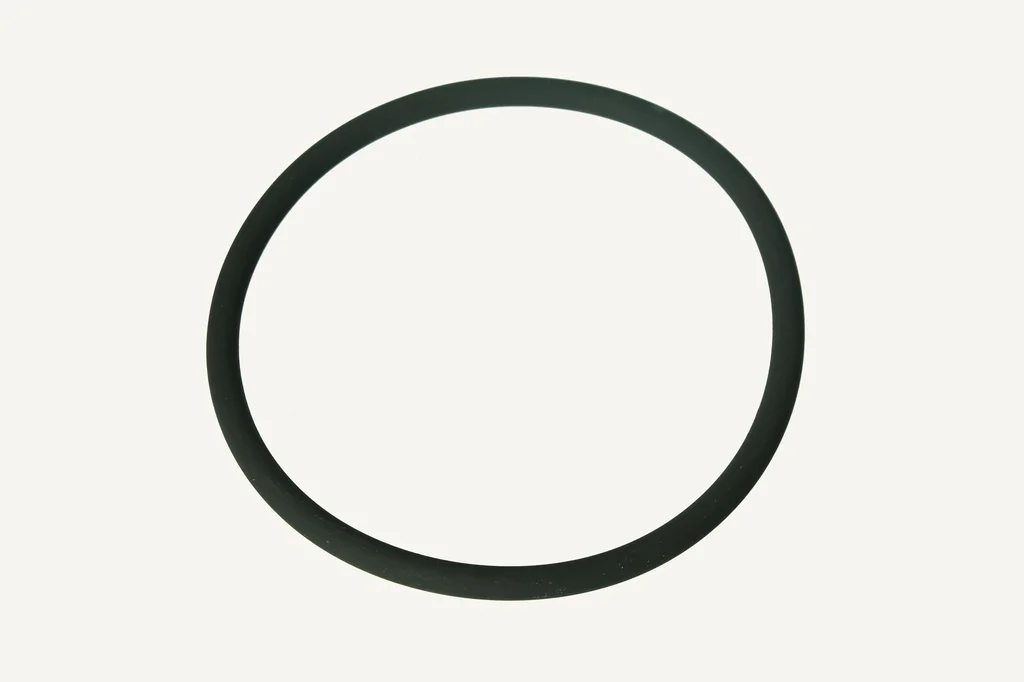 O-Ring 6.00x102.00mm
