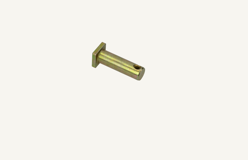 Bolt 10x36mm