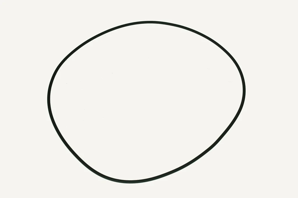 O-Ring Viton 2.62x171.12mm