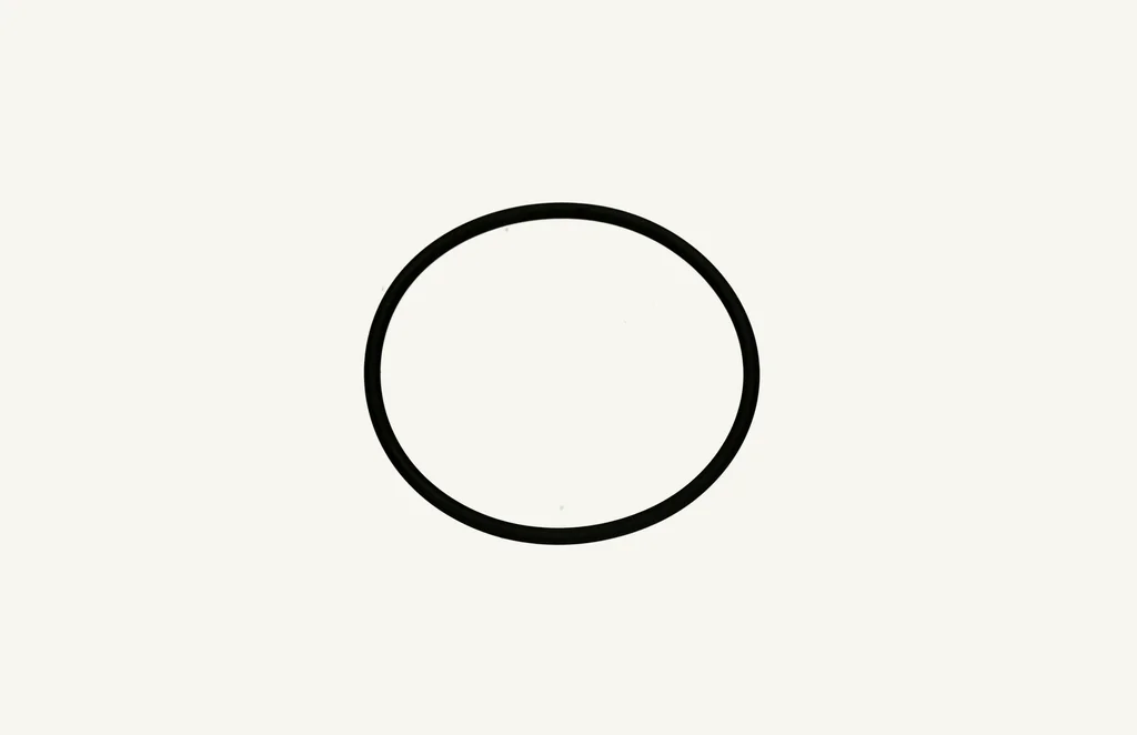 O-Ring Viton 2.62x55.24mm