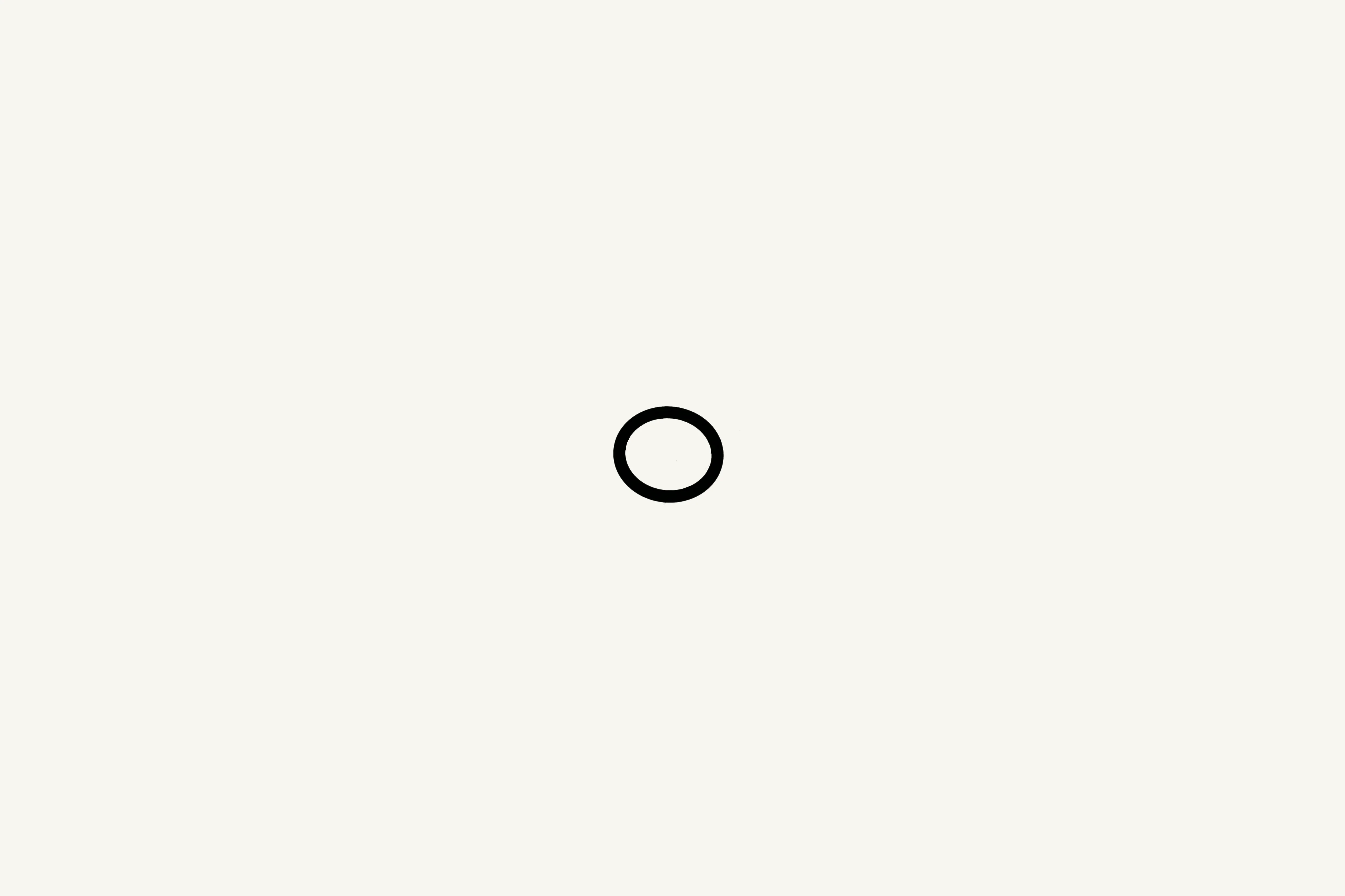 [1002391] O-Ring Viton 3.53x26.57mm