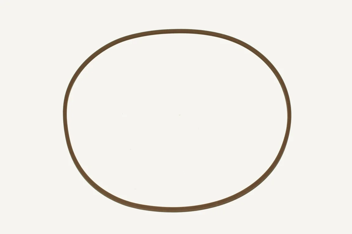 [1007635] Dichtring 3.4x3.4x193.6mm Viton