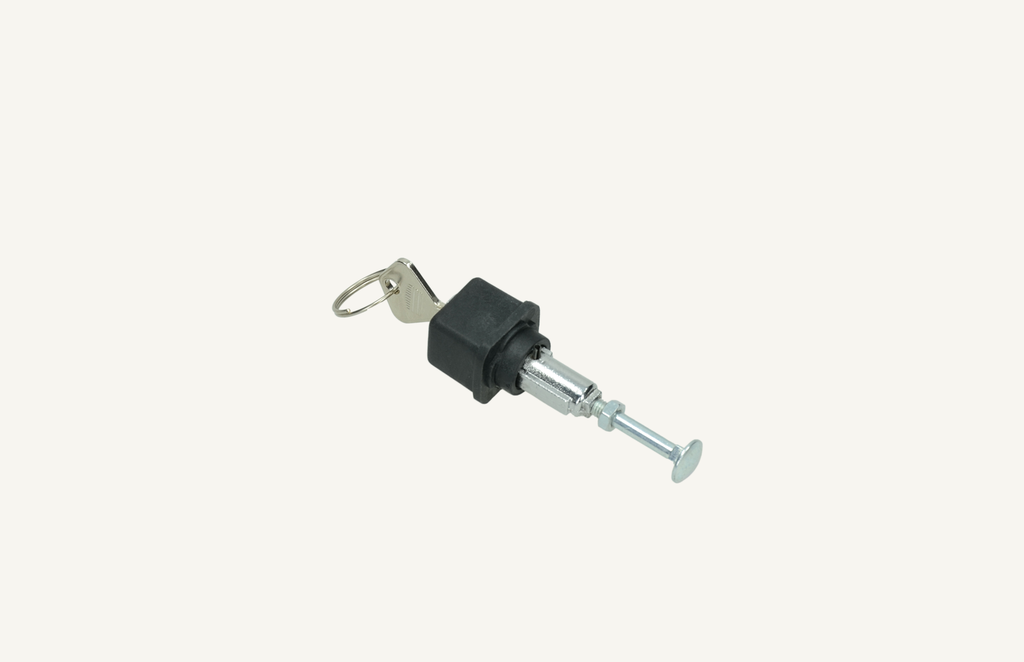 Lock cylinder with key 
