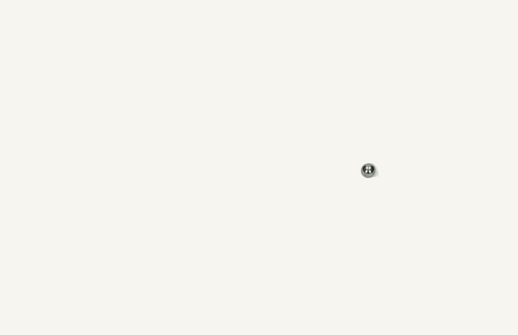 Steel ball 6.35 (1/4&quot;)