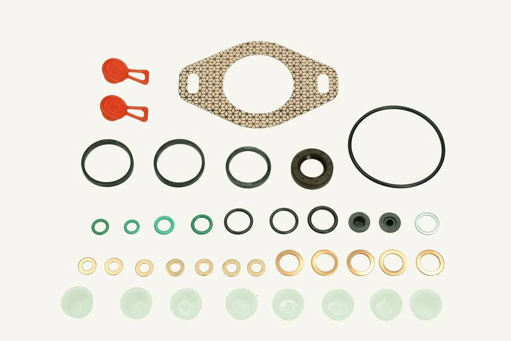 Seal Kit Bosch Pump hydraulic controlled