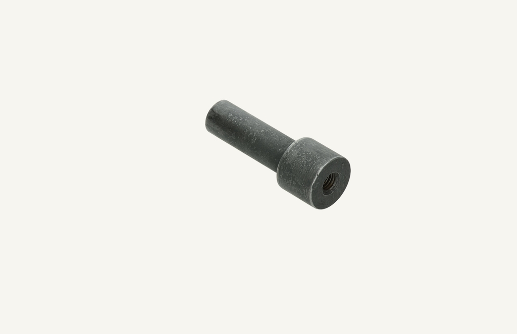 Bolt steering cylinder 14/22x61mm