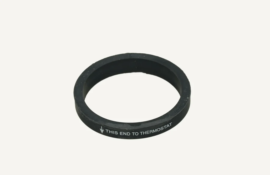 [1070096] Dichtung Thermostat
