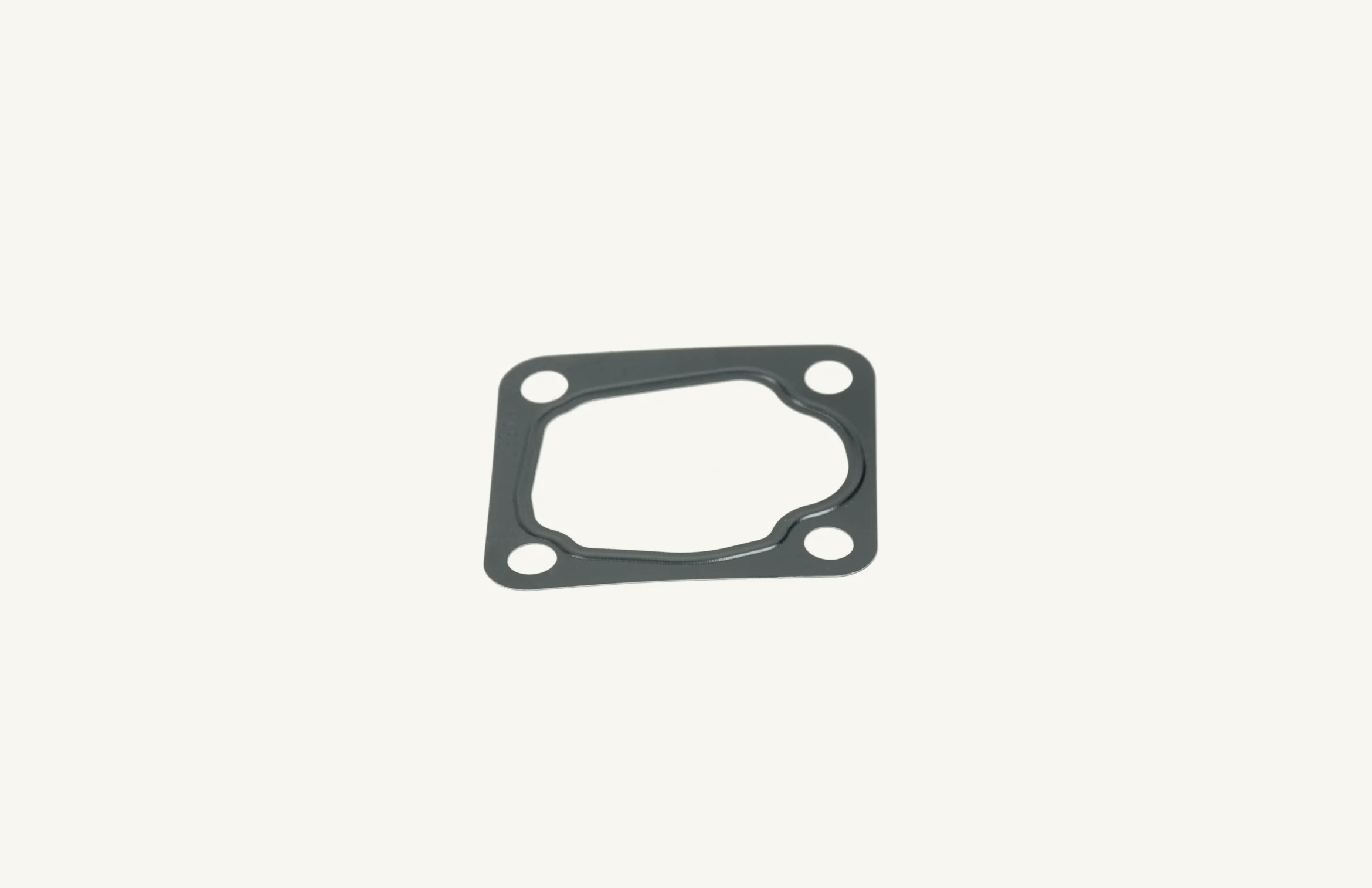 Dichtung Thermostat