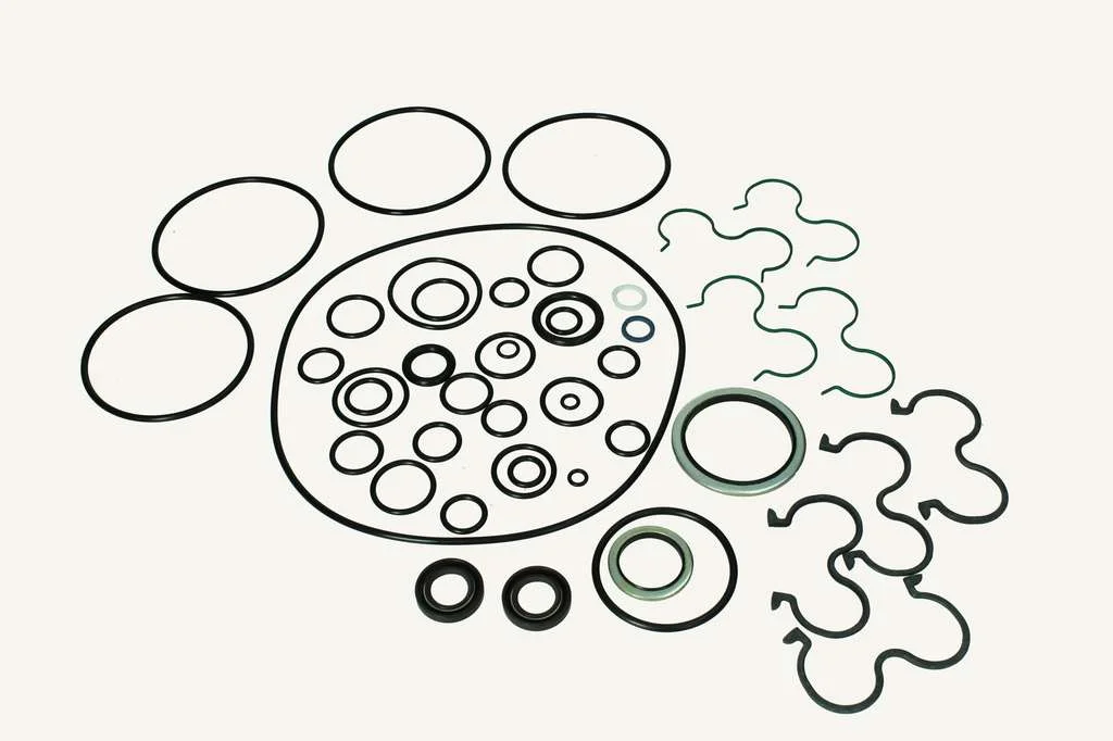 [1011607] Dichtungssatz CCLS