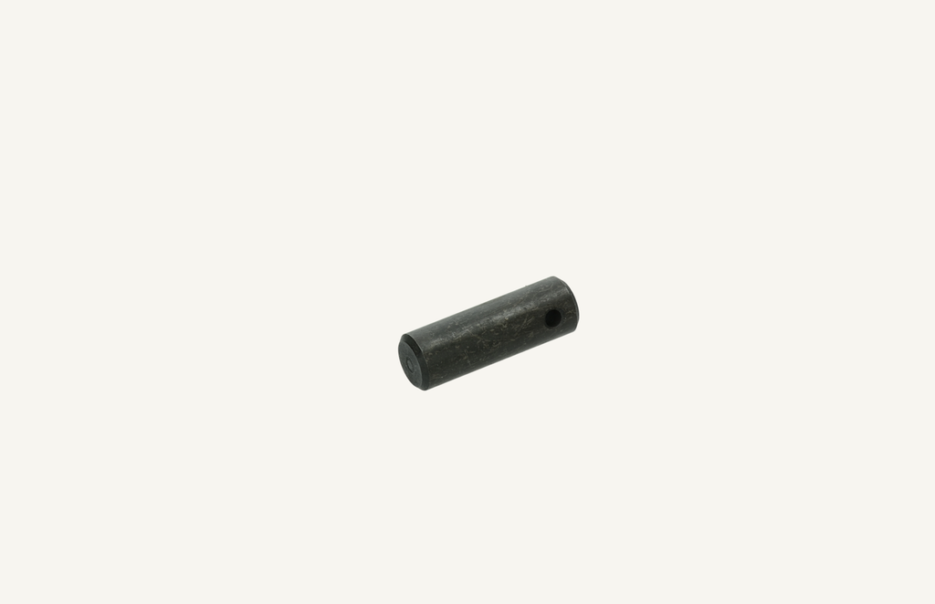 Bolt 10x30mm