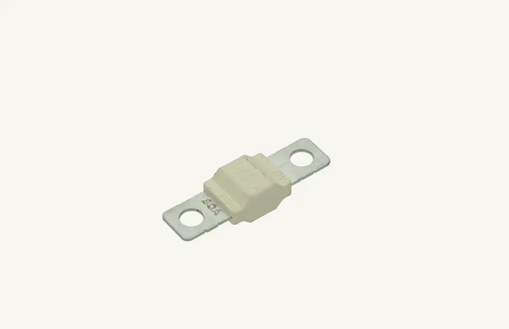 [1005632] Hauptsicherung