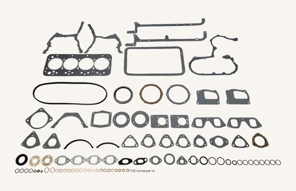 [1004848] Engine Seal Kit