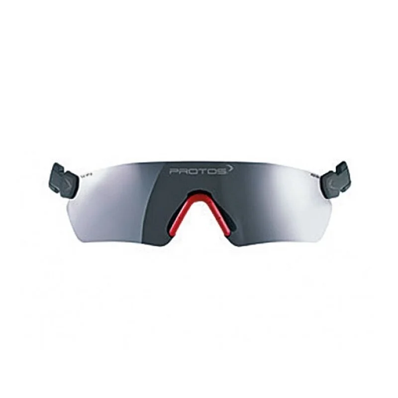 [1175972] Protos Integral Schutzbrille grau