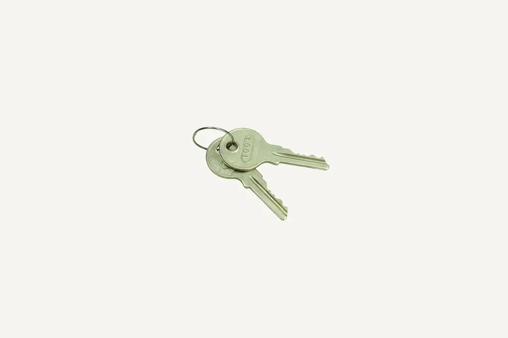 Door Key pair
