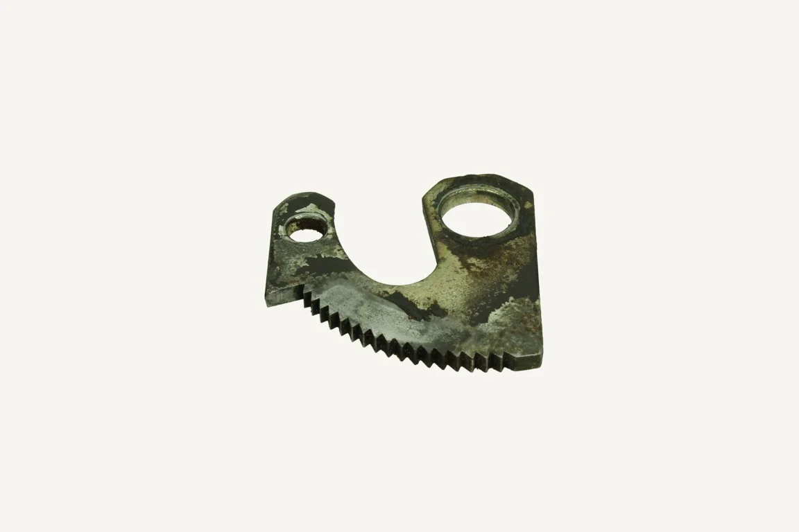 Tooth Segment (Occasion)