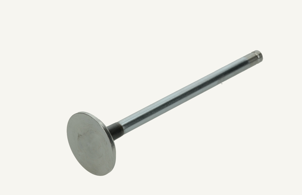 Exhaust valve 