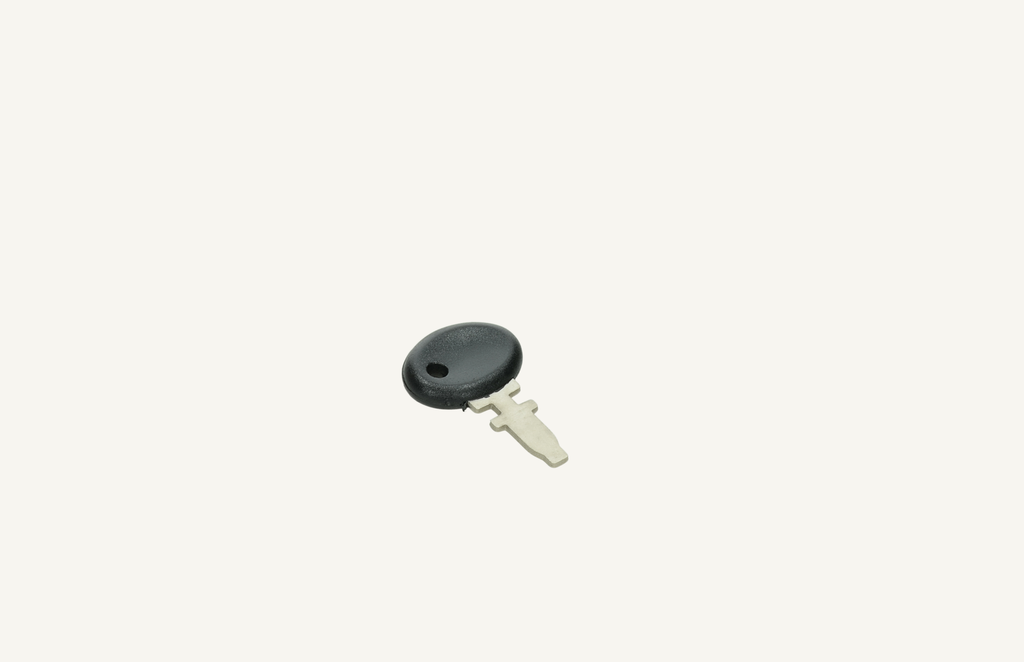 Ignition key 450-640 