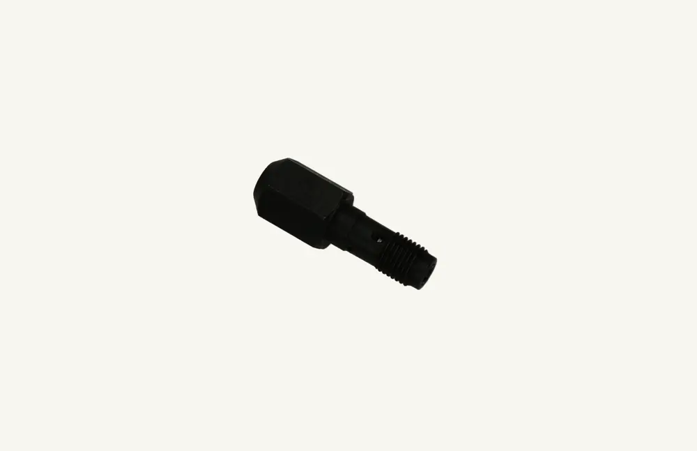 [1009264] Entlastungsventilschraube CAV