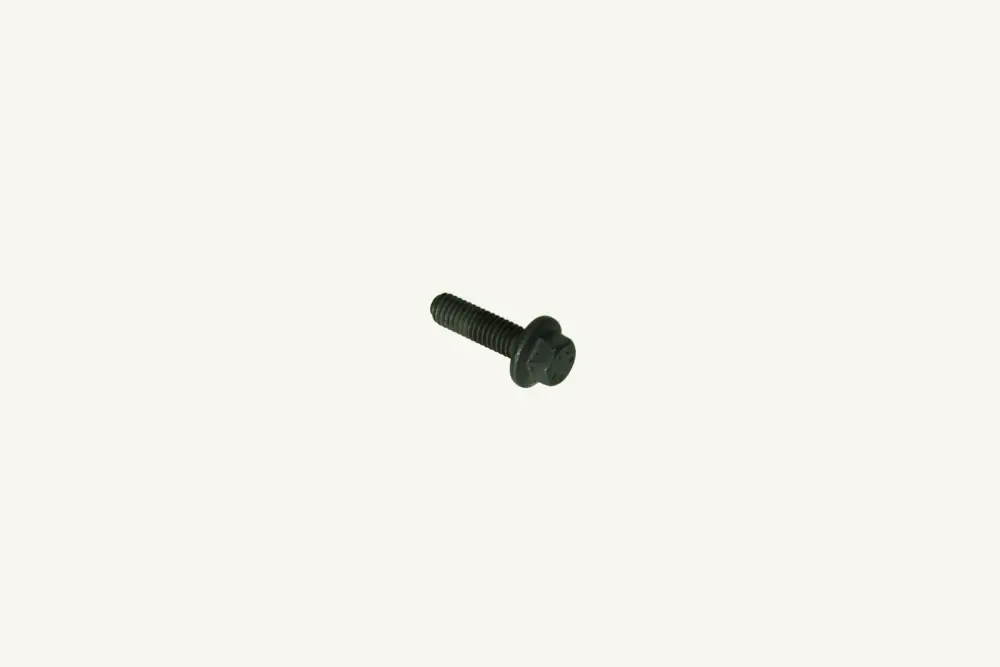 [1005261] Flanschschraube M6x1x20