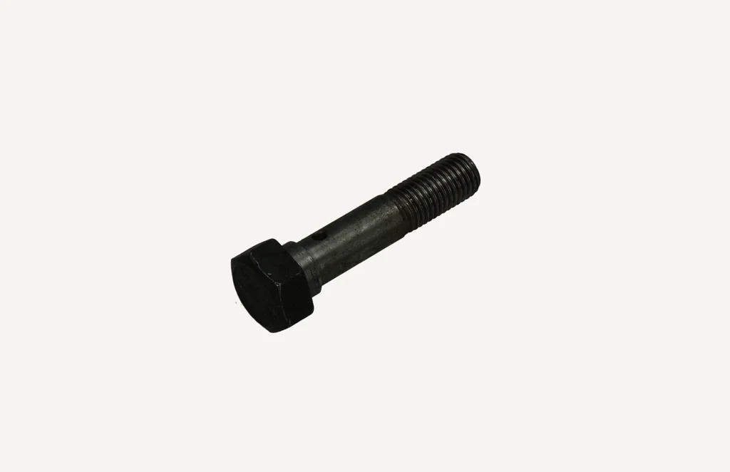 Hohlschraube M10x1.25x47
