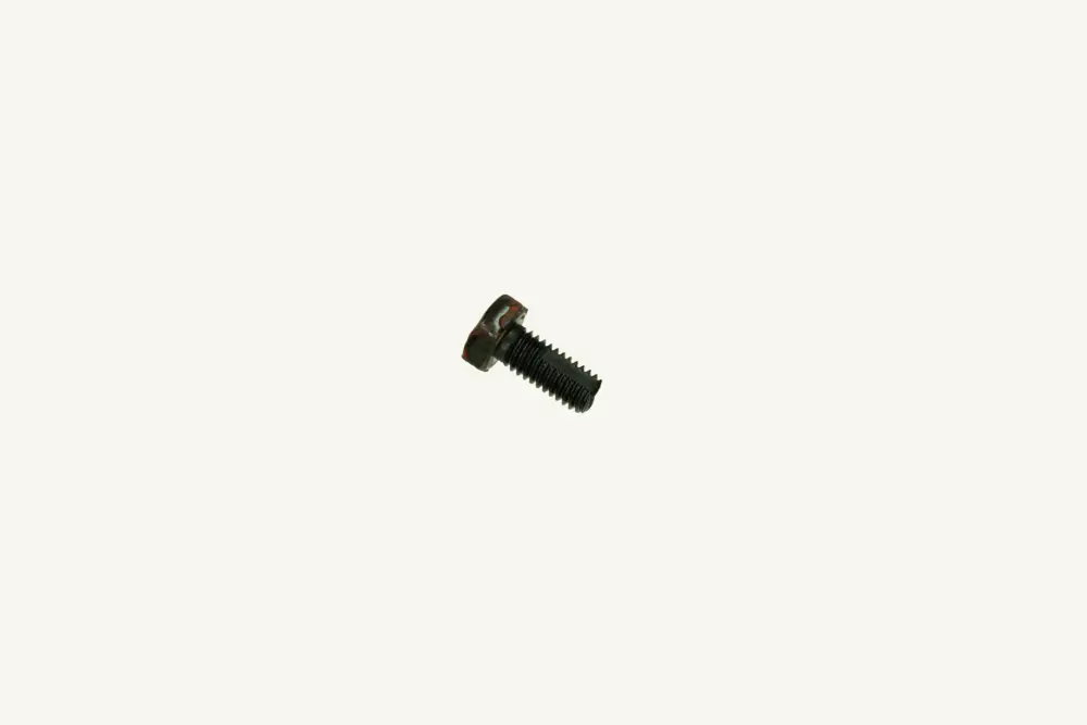 [1071546] Hohlschraube M6x1x13mm Bosch (Occasion)