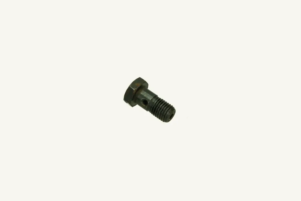 [1074119] Hohlschraube M8x1.00x17 (Occasion)