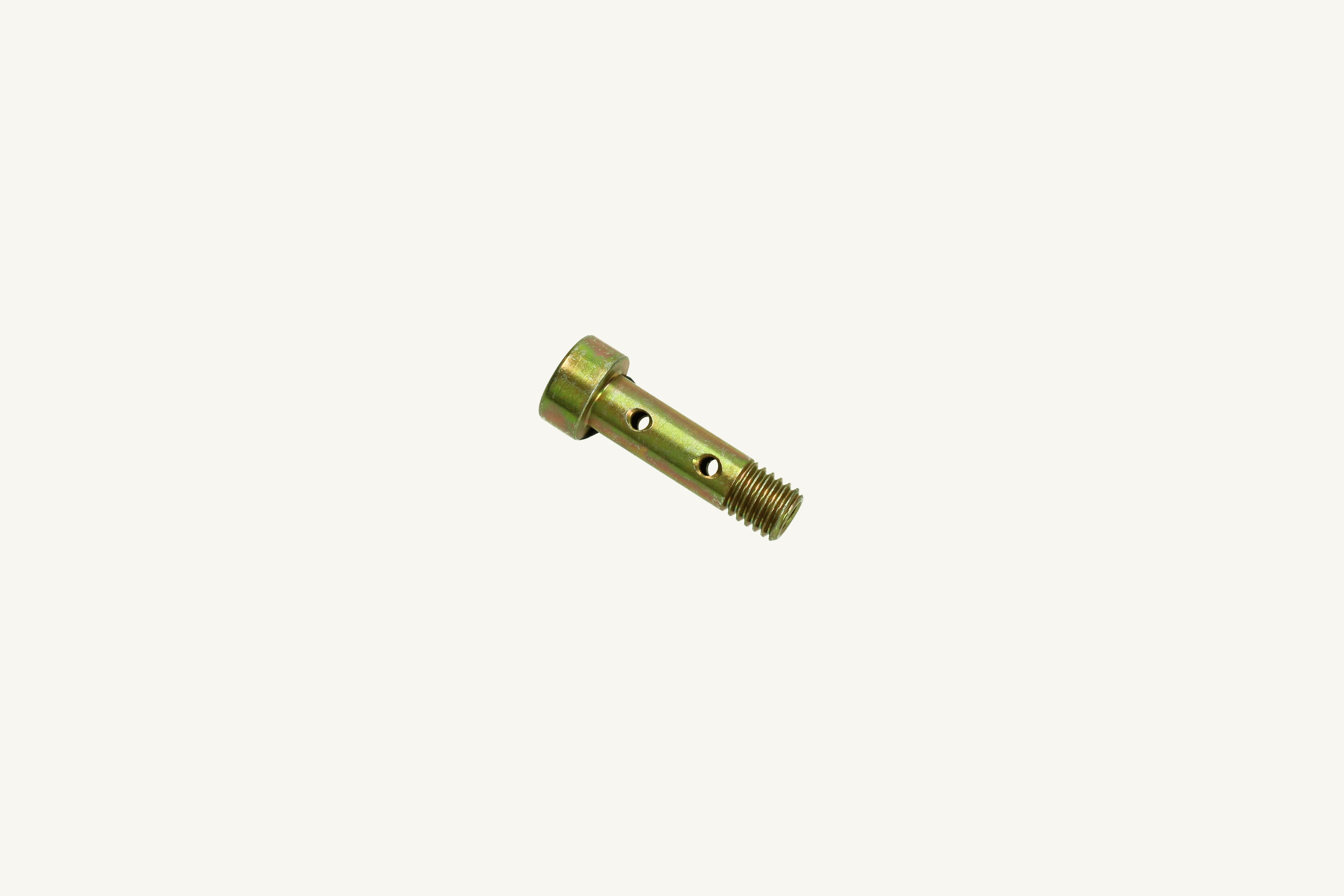 Hohlschraube M8x1.25x29