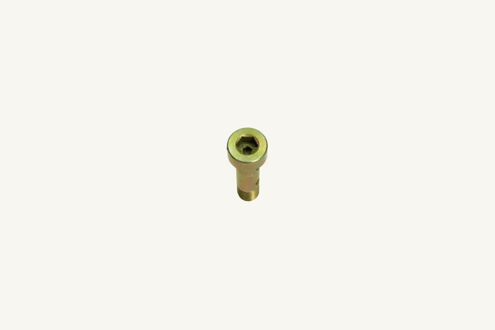 [1076189] Hohlschraube M8x1.25x29