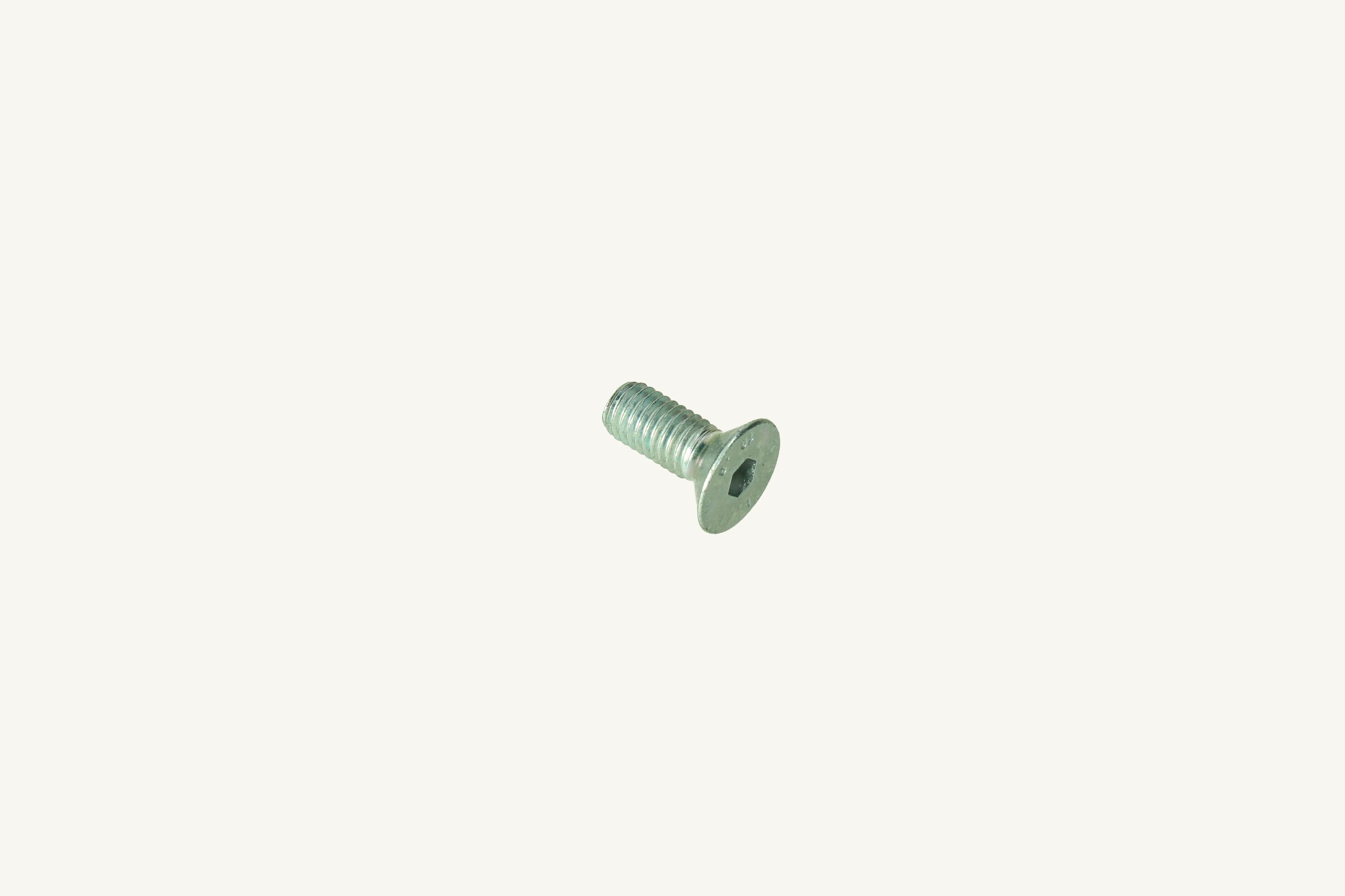 Schraube M8x1.25x20