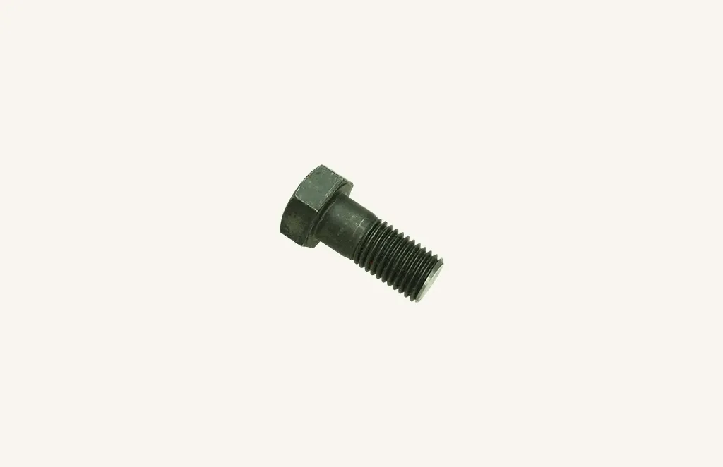 [1000352] Schraube bearbeitet M20 zu LT-G