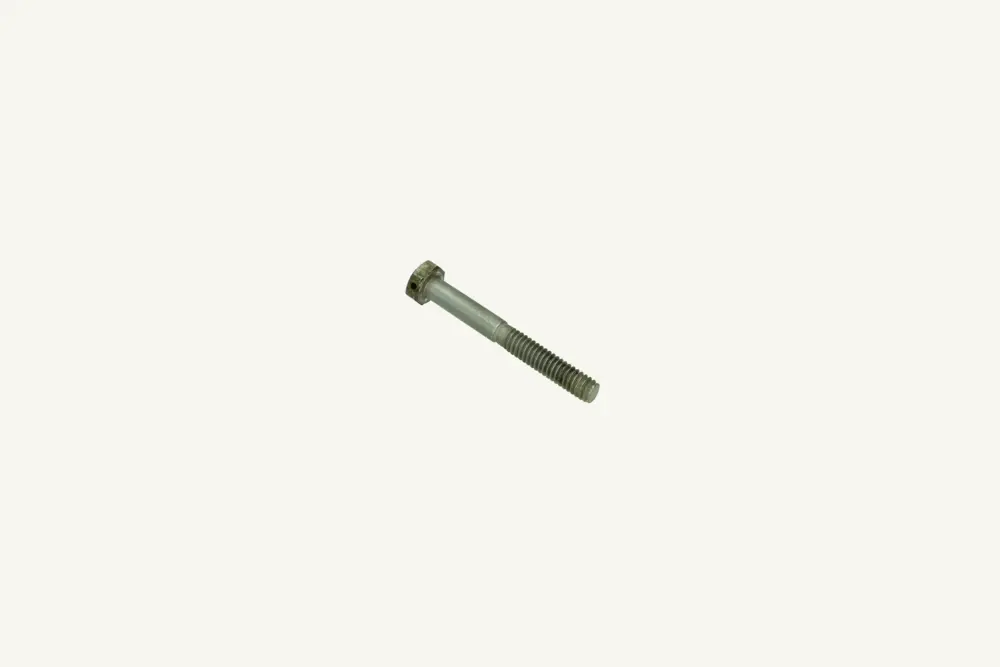 [1071759] Sechskantschraube 1/4-20Gx53mm (Occasion)