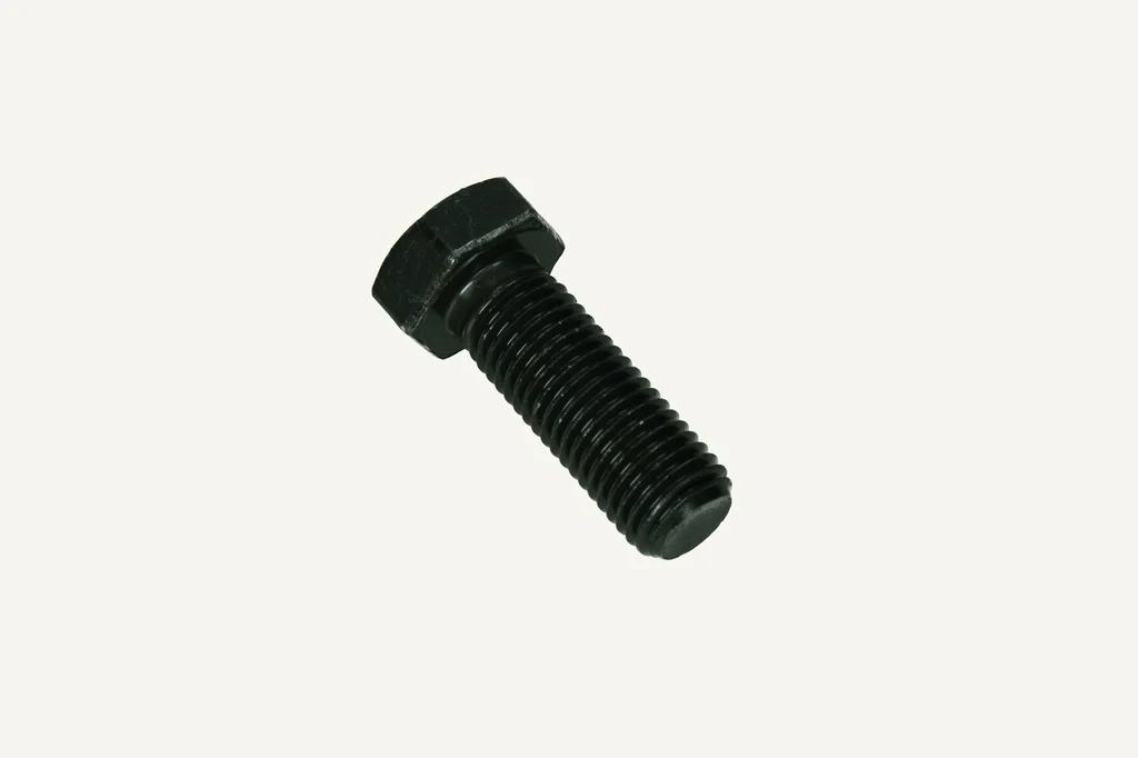 Hex Bolt M20x2.5x55 10.9