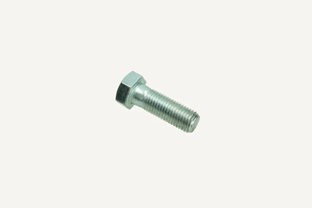 Hex Bolt M20x2.5x60 8.8