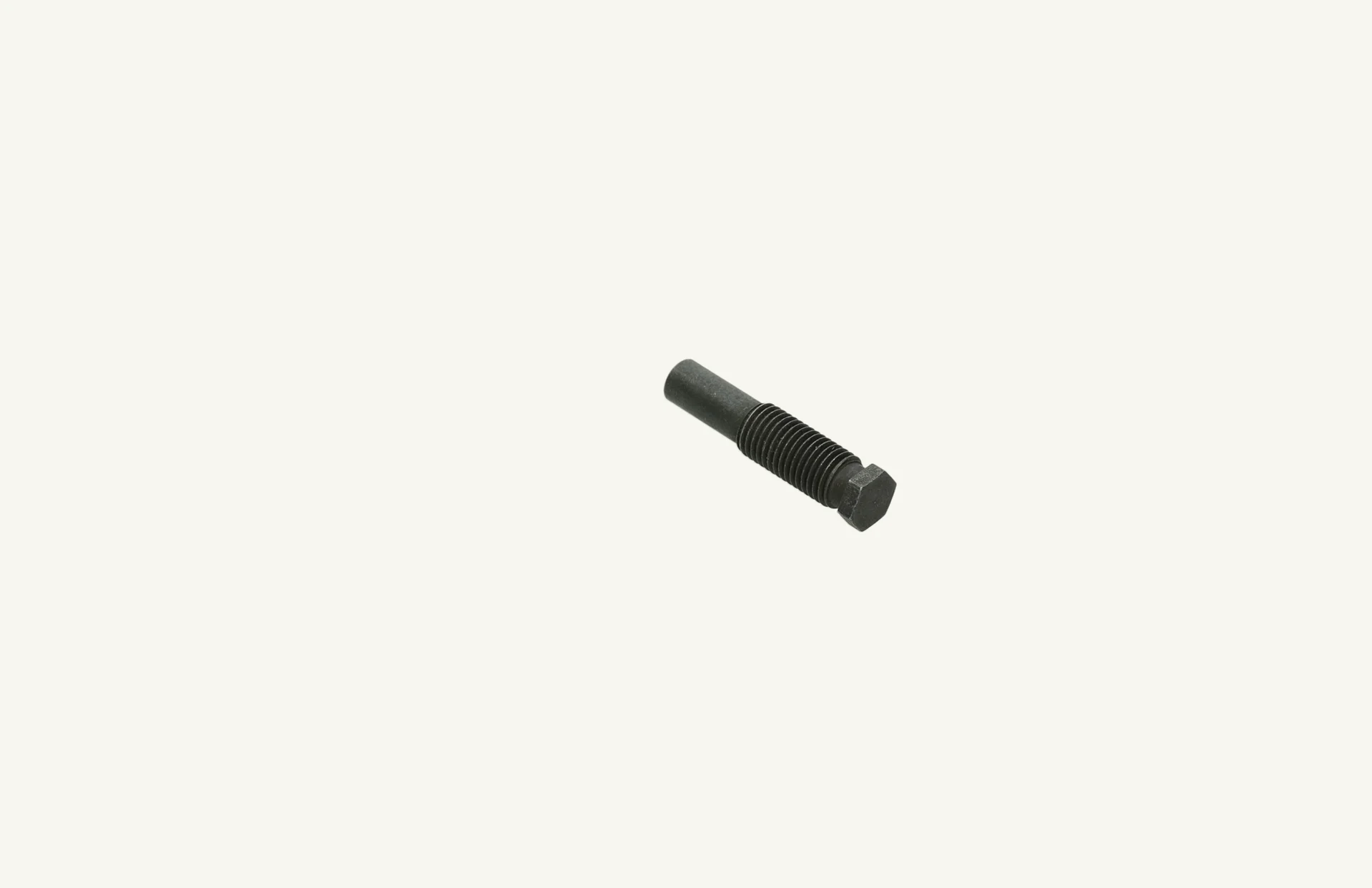 Adjusting Screw M10x1.25mm